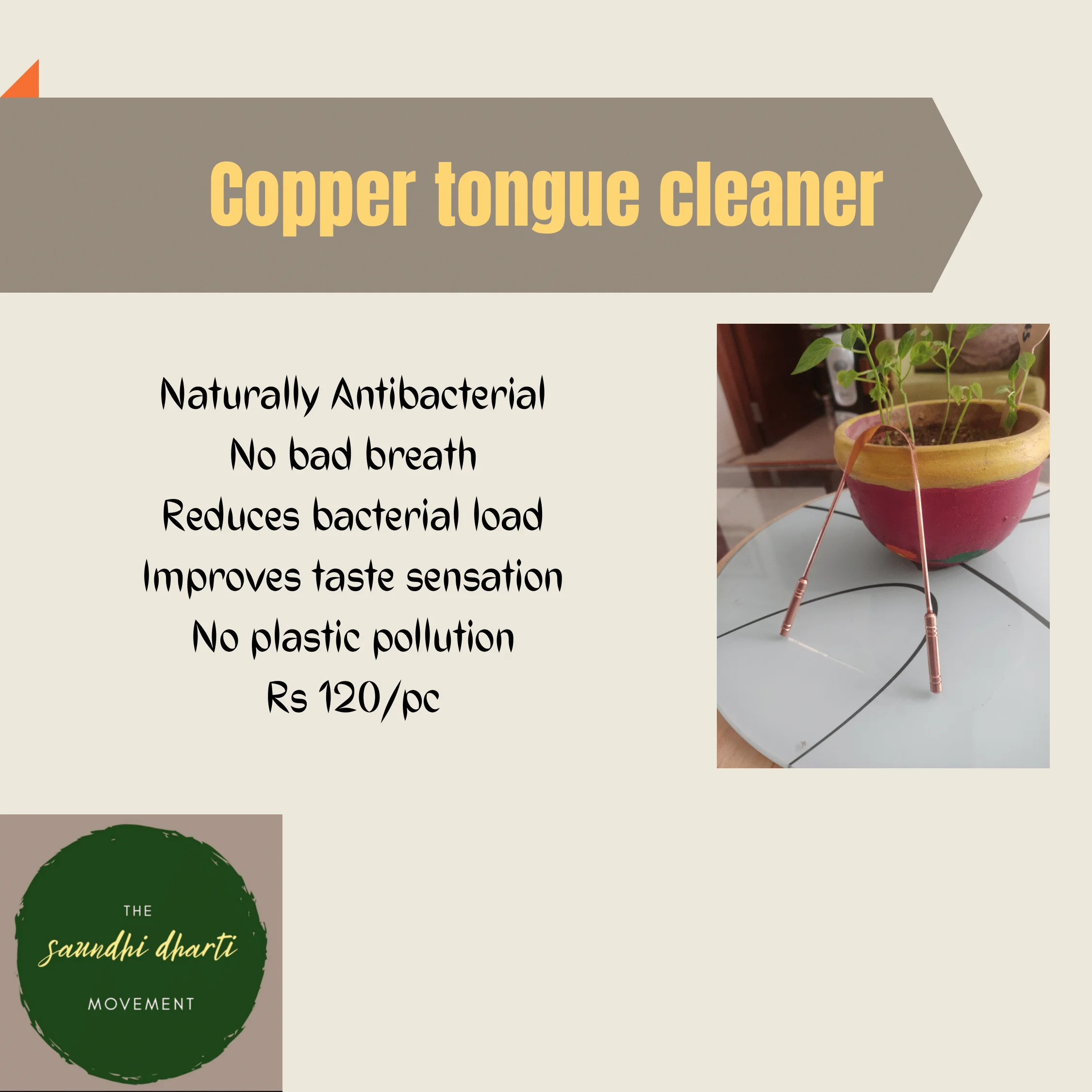 Our Products